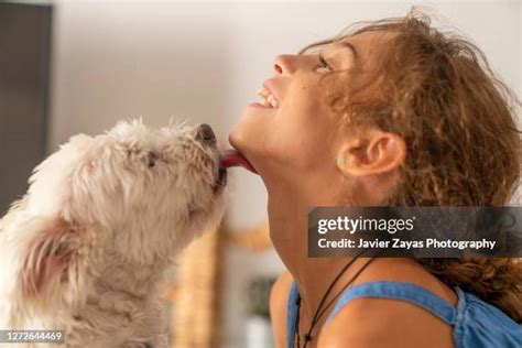 dog licking woman|216 Dog Licking Girl Stock Videos, 4K Footage, & Video Clips